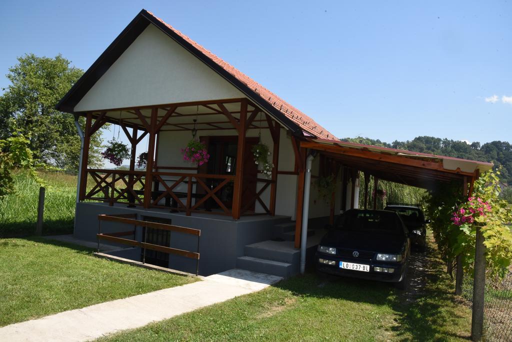 Holiday Home Kucica Na Drvetu Banja Koviljača Exterior foto